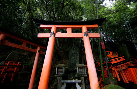 The red torii gates walkway path at fushimi inari taisha shrine the one of attraction landmarks for tourist in Kyoto, Japan 11 14 2019のeditorial素材
