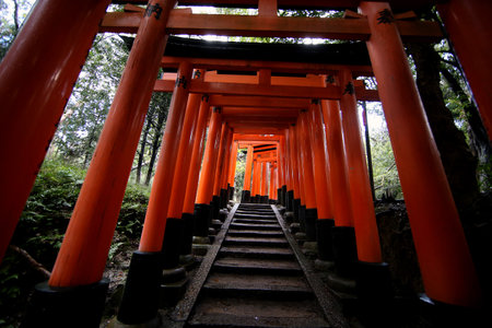 The red torii gates walkway path at fushimi inari taisha shrine the one of attraction landmarks for tourist in Kyoto, Japan 11 14 2019のeditorial素材