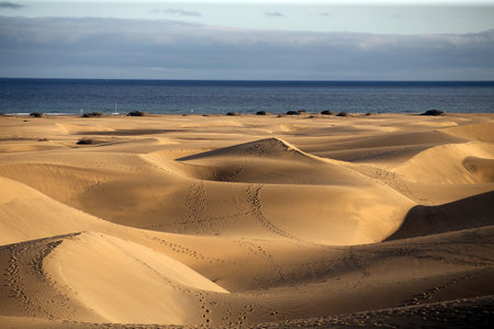 Corralejo dunes Fuerteventura desert at Canary Islands of Spainのeditorial素材