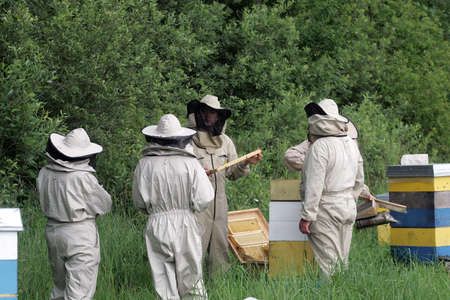 The beekeeper with honeycombs of honey and bees about a beehive against greens 4 07 2014