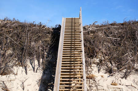 Wooden stairs on the sand dunesの写真素材