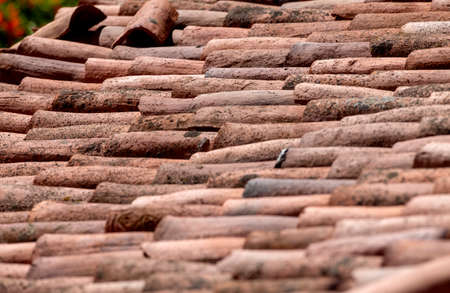 Detail of a roof made with tiles from an old mediterranean villageの写真素材