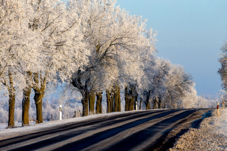 Winter road covered with fresh snowの写真素材