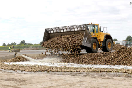 Kedainiai sugar factory. Nordic Sugar 19 09 2016のeditorial素材