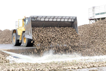 Kedainiai sugar factory. Nordic Sugar 19 09 2016のeditorial素材