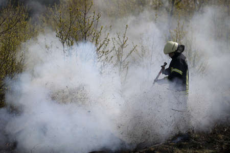 Raging forest spring fires. Burning dry grass, reed along lake. Grass is burning in meadow. Ecological catastrophy. Fire and smoke destroy all life. Firefighters extinguish Big fire. Lot of smokeの写真素材