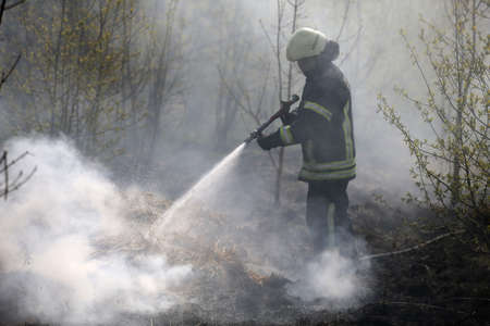 Raging forest spring fires. Burning dry grass, reed along lake. Grass is burning in meadow. Ecological catastrophy. Fire and smoke destroy all life. Firefighters extinguish Big fire. Lot of smokeのeditorial素材