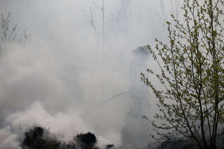 Raging forest spring fires. Burning dry grass, reed along lake. Grass is burning in meadow. Ecological catastrophy. Fire and smoke destroy all life. Firefighters extinguish Big fire. Lot of smokeのeditorial素材