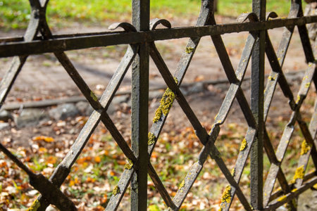 Old decorative wrought iron fenceの写真素材
