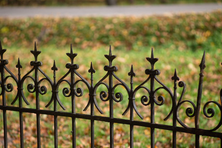 Old decorative wrought iron fenceの写真素材