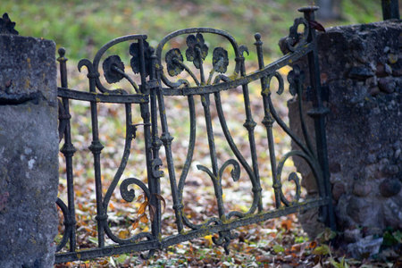 Old decorative wrought iron fenceの写真素材