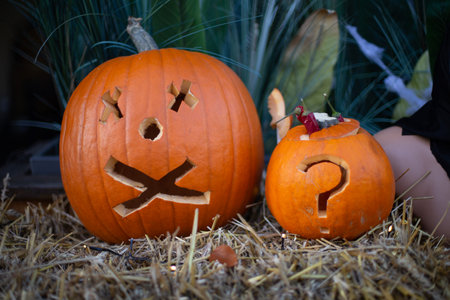 Decorating autumn pumpkins at home. Traditional Thanksgiving and Halloween decor. Goods of the...