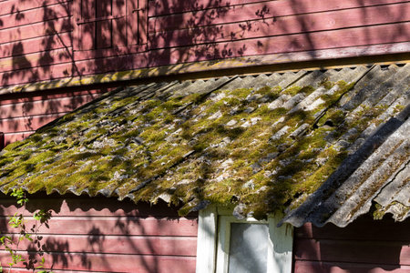 The mossy roof of an abandoned house
