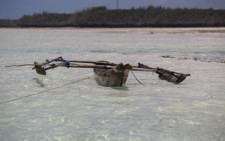 Tanzania, Traditional fishing boats on the Zanzibar island