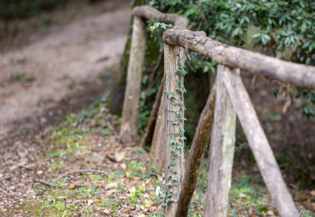 Rustic wooden fence in the countryside detailsの写真素材