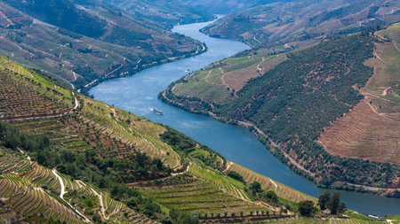 View of the terraced vineyards in the Douro Valley and river near the village of Pinhao, Portugal. Concept for travel in Portugal and most beautiful places in Portugalの写真素材