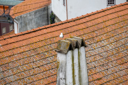 Roofing, tiles on the roof of a building, traditional architecture, texture photo. Portugalの写真素材