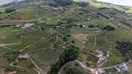 View of terraced vineyards in the Douro River Valley, Portugal. Portugal travel concept and the most...