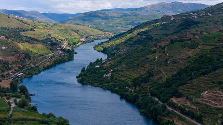 View of terraced vineyards in the Douro River Valley, Portugal. Portugal travel concept and the most beautiful places in Portugalの写真素材