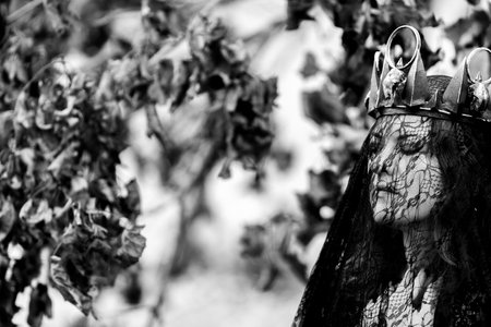 Crowned woman on Halloween night: a gaze through the veil, mysterious queenの写真素材