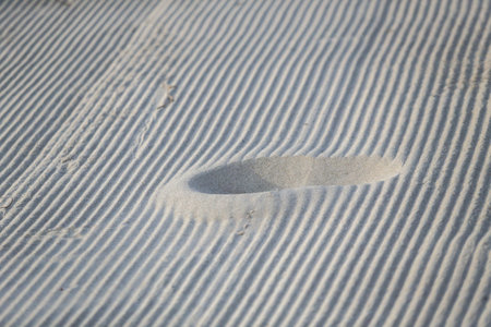 Footprints of Forgetfulness Slowly Buried by the Sea Wind. Lithuania, Nidaの写真素材