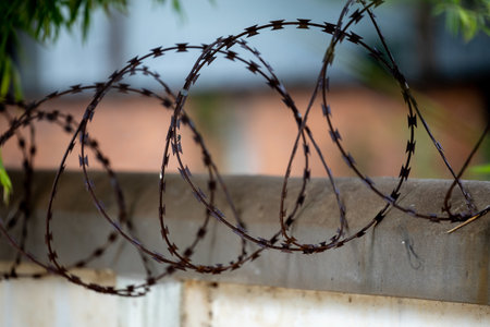 Barbed Wire: Strict Protection and Boundaries. Also Known as Concertina. Perimeter protection