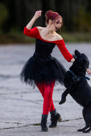 Enchanting Halloween Dance with Black Dog: Vibrant Energy and Movementの写真素材