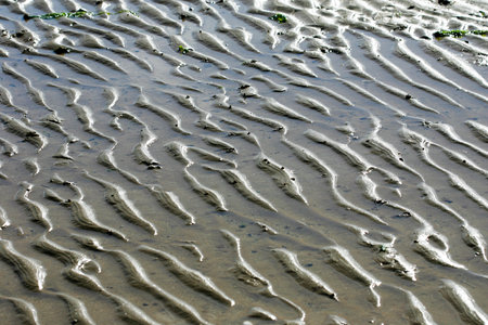Sand and Water Textures During Low Tide