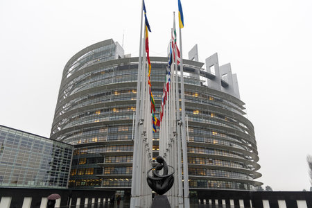 Flag Alley of the European Parliament in Strasbourg, a Rainy Dayの写真素材