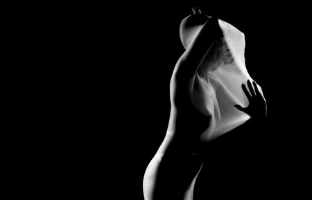 Play of Light and Shadows: Body Shapes Behind Silk Veilsの写真素材