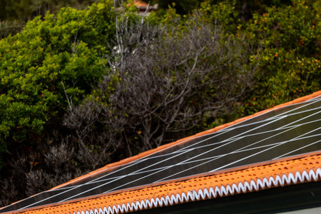 Energy independence through rooftop solar panels in sunlight