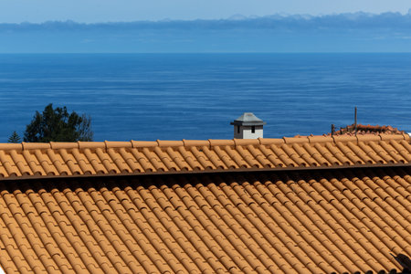Terracotta Rhythms of Madeira Rooftops â A Glimpse into Traditional Architectureの写真素材