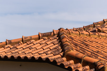 Terracotta Rhythms of Madeira Rooftops â A Glimpse into Traditional Architectureの写真素材