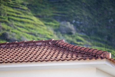 Terracotta Rhythms of Madeira Rooftops â€“ A Glimpse into Traditional Architecture