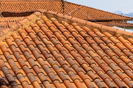Terracotta Rhythms of Madeira Rooftops â A Glimpse into Traditional Architectureの写真素材