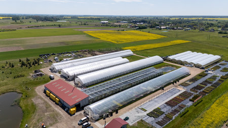 âJosvainiu Gelesâ  Modern Greenhouse Flower Farm in Rural Lithuaniaの写真素材
