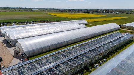 âJosvainiu Gelesâ  Modern Greenhouse Flower Farm in Rural Lithuaniaの写真素材