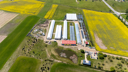 âJosvainiu Gelesâ  Modern Greenhouse Flower Farm in Rural Lithuaniaの写真素材