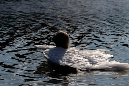 A graceful woman with angel-like wings standing in a calm lake, surrounded by golden light and reeds. This poetic image blends nature, femininity, and quiet emotion, evoking serenity, transformation, and purity.の写真素材