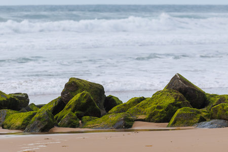 Breakwater in Lacanau, on Franceâ€™s Atlantic coast. Moss-covered rocks and waves protect the...