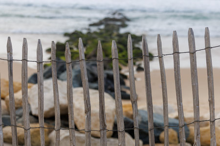 Moss-covered rocks and waves protect the shoreline from erosion, creating a natural seaside...