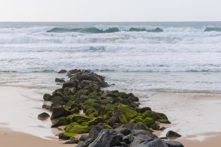 Breakwater in Lacanau, on Franceâ€™s Atlantic coast. Moss-covered rocks and waves protect the...