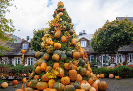 Beautiful autumn garden decorated with pumpkins and colorful leaves. Creative fall composition with pumpkin tree, arch and seasonal plants, celebrating harvest and Halloween mooの写真素材