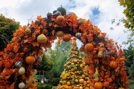 Beautiful autumn garden decorated with pumpkins and colorful leaves. Creative fall composition with pumpkin tree, arch and seasonal plants, celebrating harvest.の写真素材