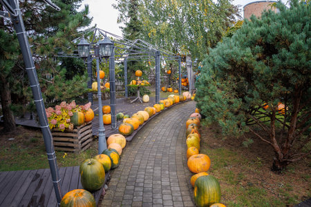 Colorful autumn decorations with pumpkins, flowers and seasonal plants in a cozy countryside garden....