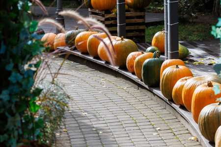 Colorful autumn decorations with pumpkins and seasonal plants in a cozy countryside garden. Natural fall composition symbolizing harvest, warmth and festive mood.の写真素材