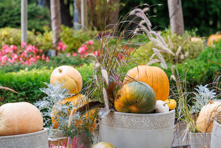 Colorful autumn decorations with pumpkins, flowers and seasonal plants in a cozy countryside garden. Natural fall composition symbolizing harvest, warmth and festive mood.の写真素材