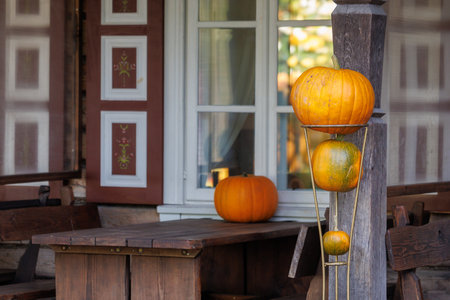 Colorful autumn decorations with pumpkins, flowers and seasonal plants in a cozy countryside garden. Natural fall composition symbolizing harvest, warmth and festive mood.の写真素材
