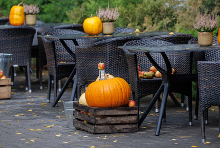 Colorful autumn decorations with pumpkins, flowers and seasonal plants in a cozy countryside garden. Natural fall composition symbolizing harvest, warmth and festive mood.の写真素材