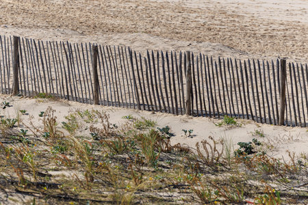 Traditional wooden sand dune fence along the Atlantic Ocean coastline in France. Rustic barrier used to protect dunes from erosion, with sand, grass and blue sea in the background on a sunny dayの写真素材